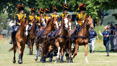 diverse foto’s van de Tilburgse Defensiedag.