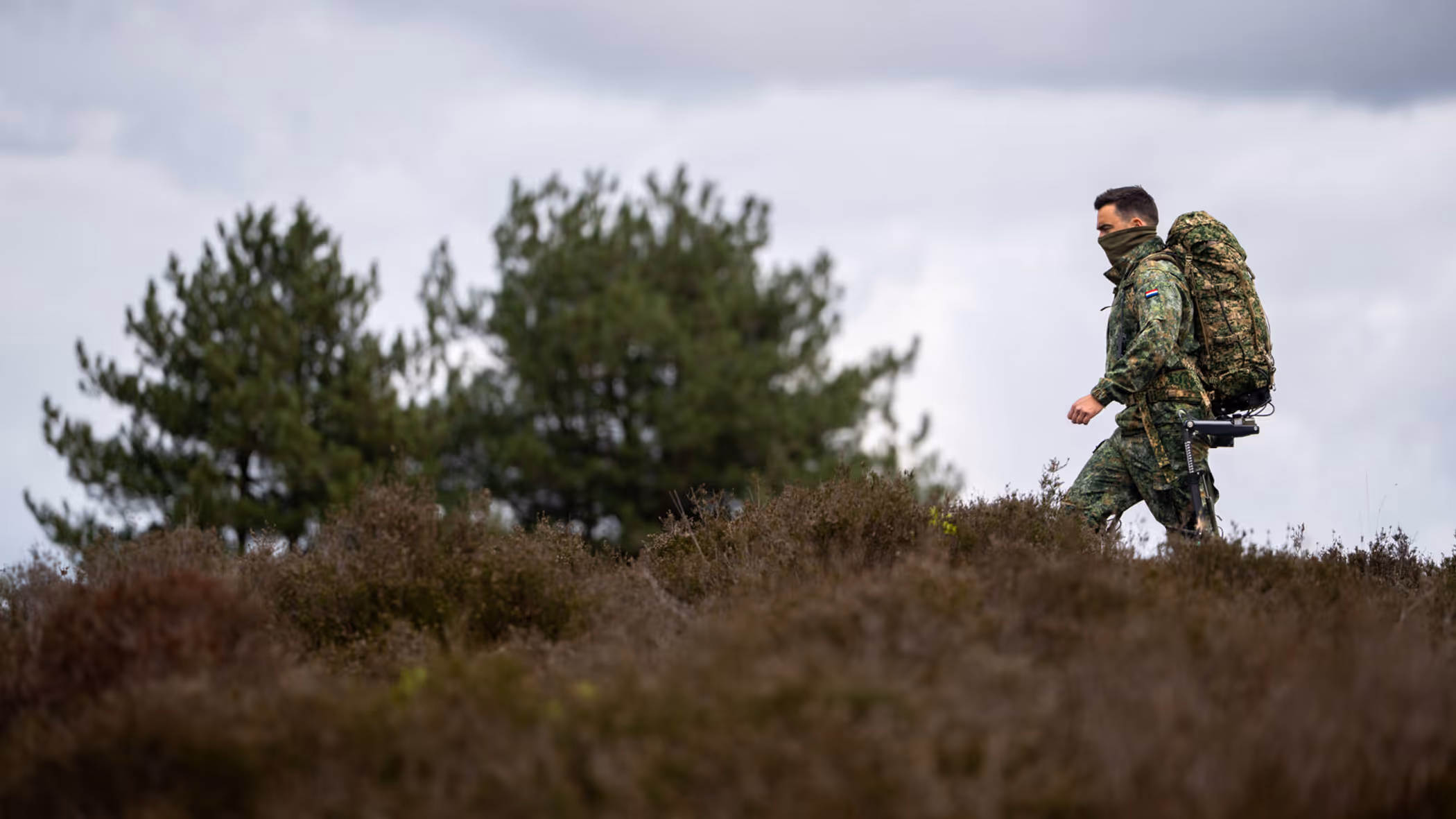 Een soldaat in camouflagekleding met een grote rugzak loopt door een heideveld met dennenbomen op de achtergrond. 