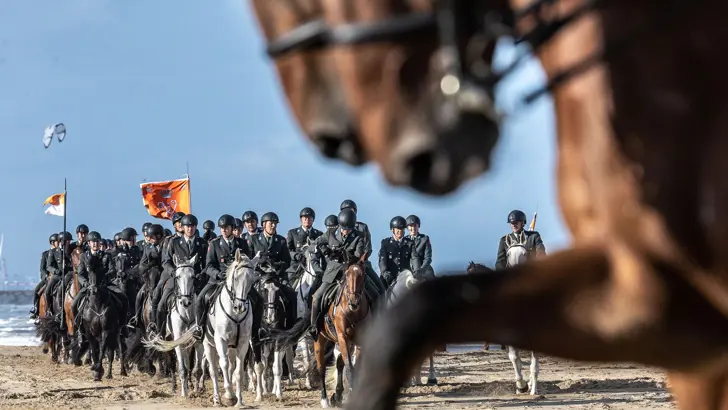Militairen oefenen op paarden voor Prinsjesdag. 2 paarden op voorgrond.