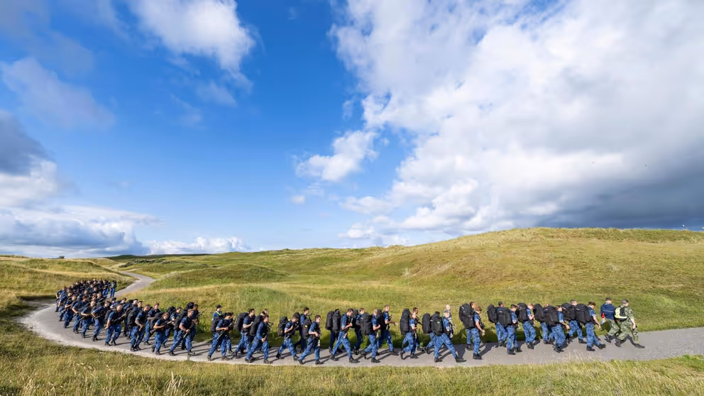 Grote groep militairen met bepakking marcheert door groen grasland.