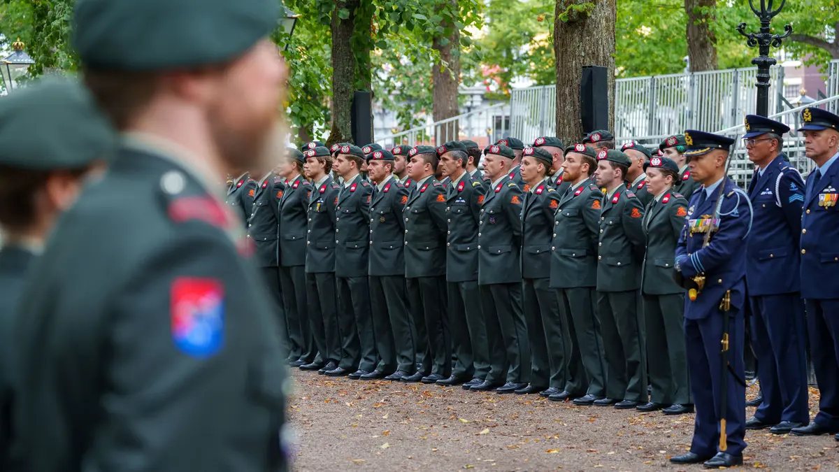 Afbeelding reservisten