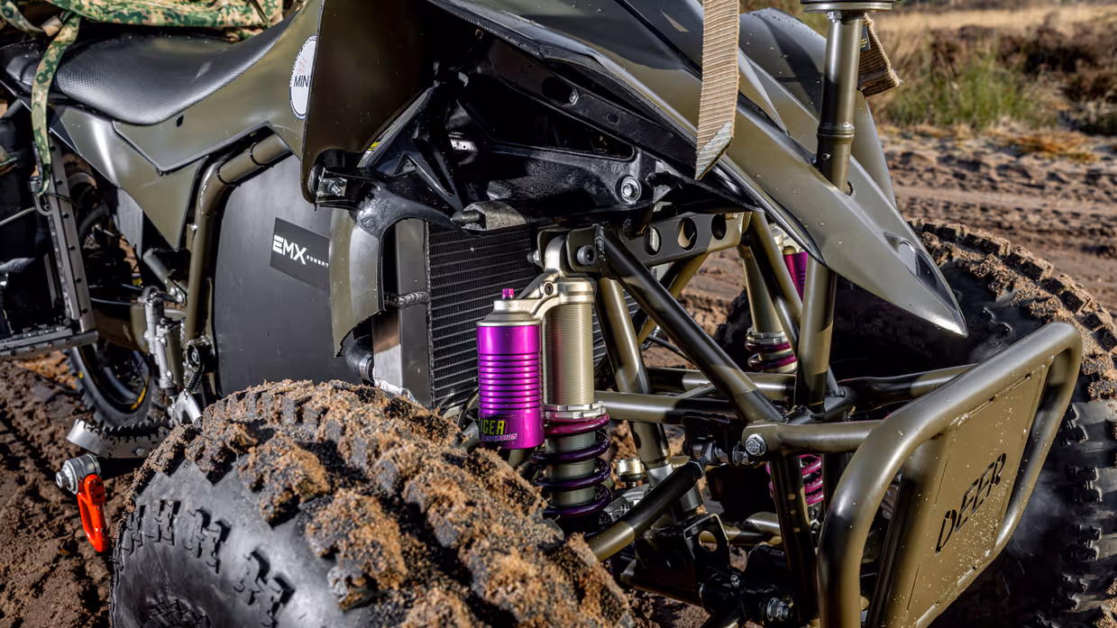 Close-up van de Deer, met zicht op de vering