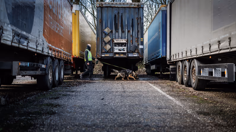Een aangelijnde diensthond van de KMar speurt tussen vrachtwagens.