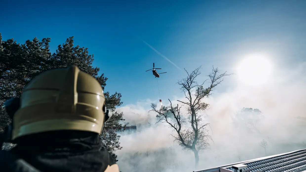 Cougar en bambi bucket.