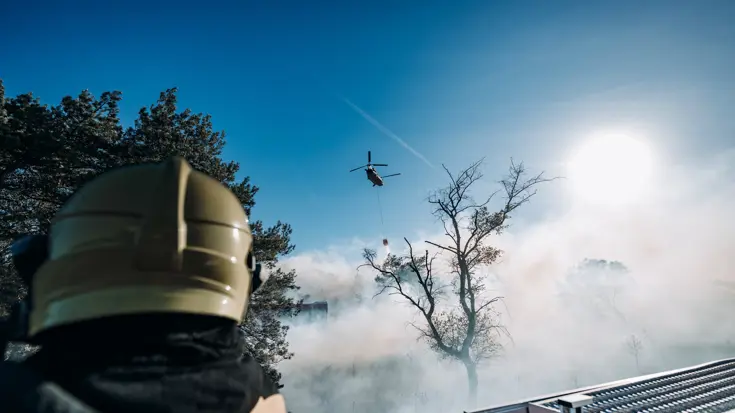 Cougar en bambi bucket.