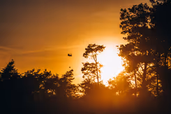 Helikopter vliegt boven bosrijk gebied.