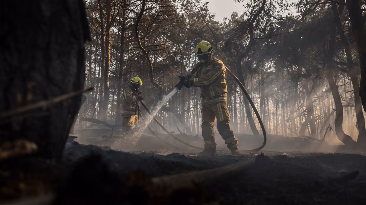 Brandweerlieden blussen een natuurbrand in een bosgebied terwijl rook tussen de bomen hangt.