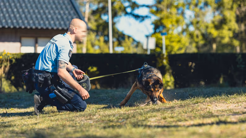 Een geleider geknield in het gras terwijl de hond iets uit de grond trekt.