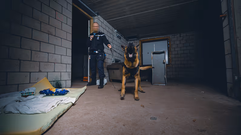 Een blaffende hond wordt aan de lijn gehouden door z’n geleider.