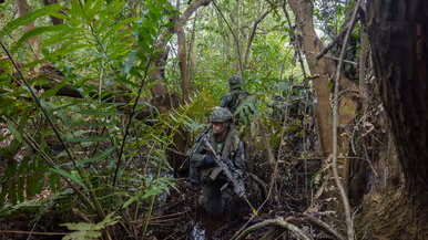 Mariniers lopen door de jungle