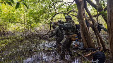 Mariniers lopen door de jungle 