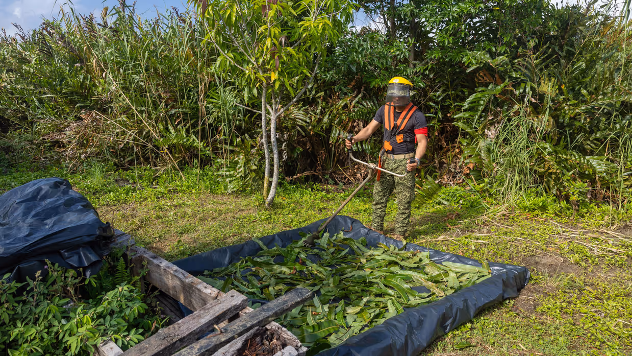 Op de 4 foto’s een Colombiaanse instructeur in een boom, Colombiaanse instructeurs die zogenaamd drugs verstoppen, een Colombiaanse instructeur die een drugslab optuigt en mariniers met een zogenaamd neergeschoten kartelbaas.