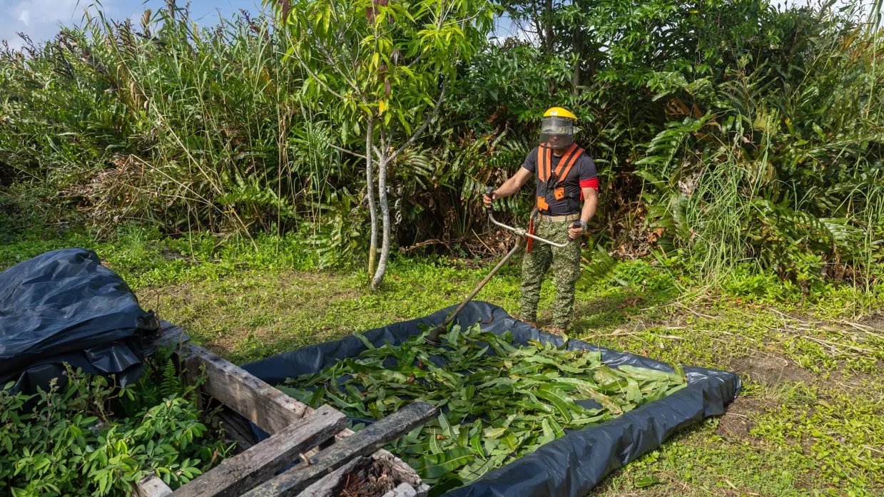 Op de 4 foto’s een Colombiaanse instructeur in een boom, Colombiaanse instructeurs die zogenaamd drugs verstoppen, een Colombiaanse instructeur die een drugslab optuigt en mariniers met een zogenaamd neergeschoten kartelbaas.