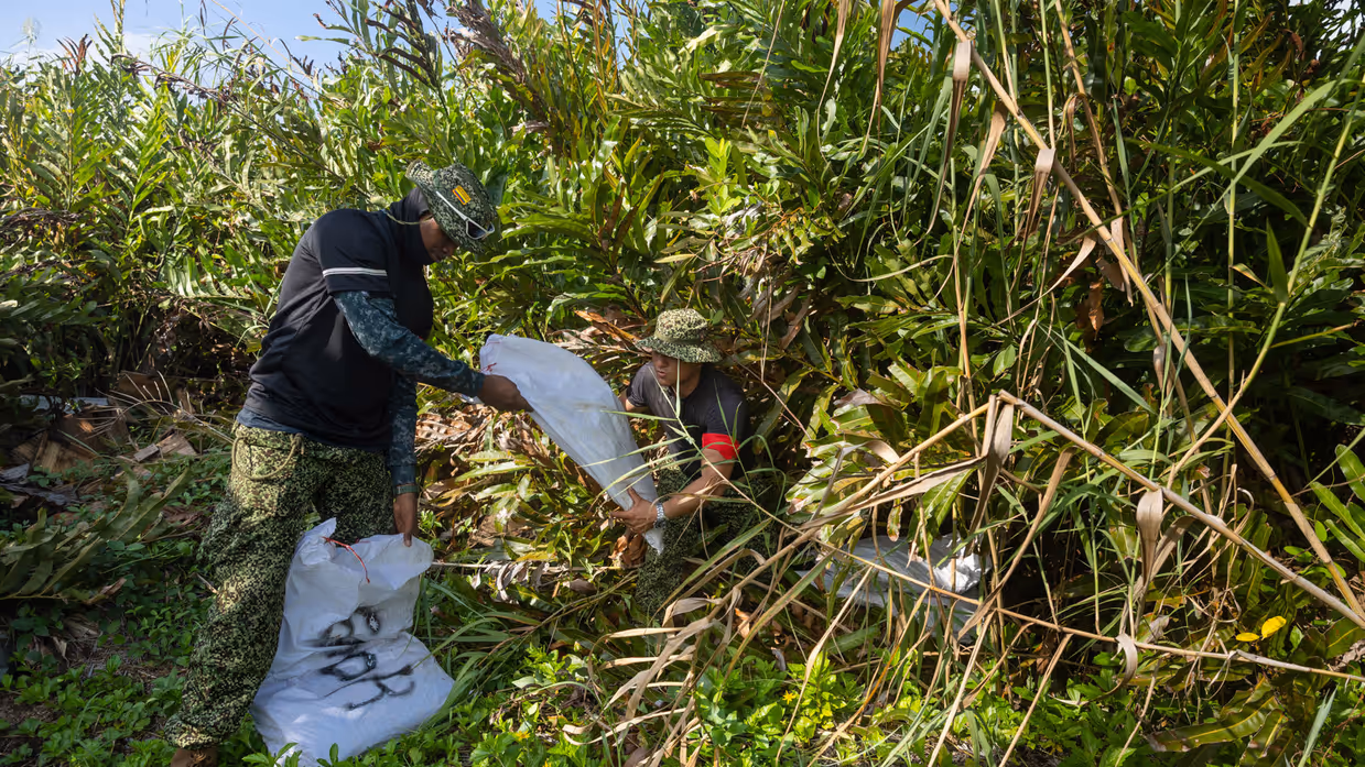 Op de 4 foto’s een Colombiaanse instructeur in een boom, Colombiaanse instructeurs die zogenaamd drugs verstoppen, een Colombiaanse instructeur die een drugslab optuigt en mariniers met een zogenaamd neergeschoten kartelbaas.