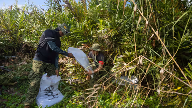 Op de 4 foto’s een Colombiaanse instructeur in een boom, Colombiaanse instructeurs die zogenaamd drugs verstoppen, een Colombiaanse instructeur die een drugslab optuigt en mariniers met een zogenaamd neergeschoten kartelbaas.