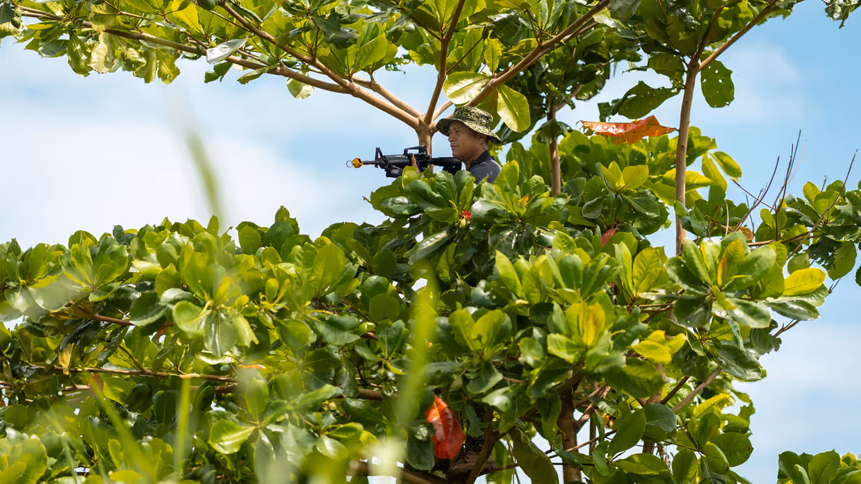 Op de 4 foto’s een Colombiaanse instructeur in een boom, Colombiaanse instructeurs die zogenaamd drugs verstoppen, een Colombiaanse instructeur die een drugslab optuigt en mariniers met een zogenaamd neergeschoten kartelbaas.