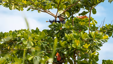 Op de 4 foto’s een Colombiaanse instructeur in een boom, Colombiaanse instructeurs die zogenaamd drugs verstoppen, een Colombiaanse instructeur die een drugslab optuigt en mariniers met een zogenaamd neergeschoten kartelbaas.