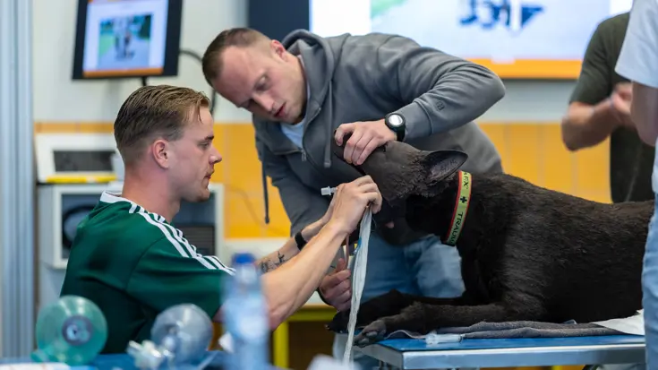 Een dummyhond ligt op zijn buik op een behandeltafel. De ene man houdt zijn bek open, de ander brengt een beademingsbuis in.