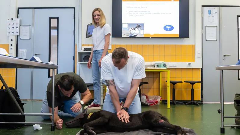 In een leslokaal reanimeert een man in wit T-shirt een dummyhond. Een andere man zit geknield bij de kop. De vrouwelijke docent op de achtergrond kijkt goedkeurend toe.