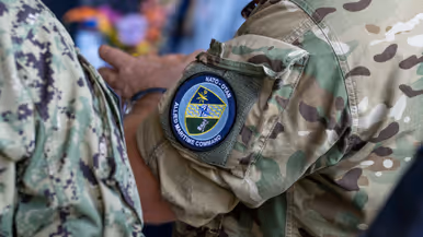 Emblemen van eenheden op de bovenarmen van 2 militairen.