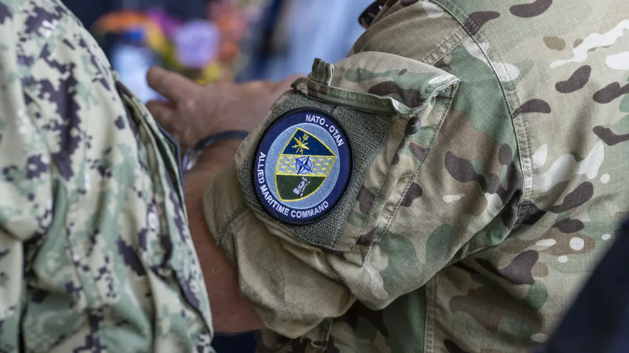 Emblemen van eenheden op de bovenarmen van 2 militairen.