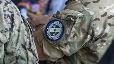 Emblemen van eenheden op de bovenarmen van 2 militairen.
