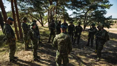 een groep marechaussees tijdens instructie in het bos. 