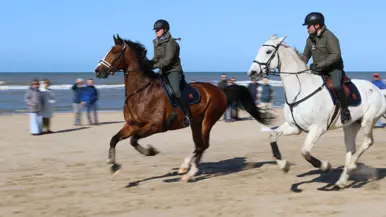 Links: Twee ruiters in uniform en met helmen rijden in galop op respectievelijk een bruin en wit paard over een zandstrand langs de zee. Rechts: Een groep ruiters in militair uniform en met helmen zit te paard in een bosrijk gebied met kale bomen en struiken.