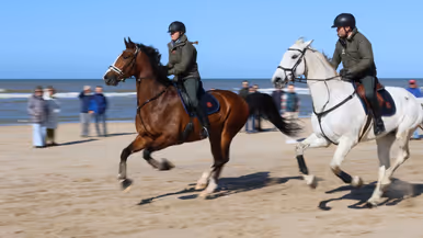 Links: Twee ruiters in uniform en met helmen rijden in galop op respectievelijk een bruin en wit paard over een zandstrand langs de zee. Rechts: Een groep ruiters in militair uniform en met helmen zit te paard in een bosrijk gebied met kale bomen en struiken.