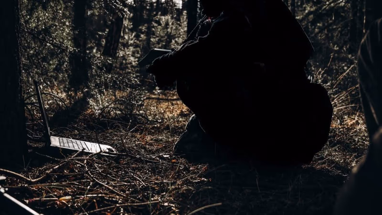 Een militair, waarvan enkel een silhouet te zien is, buigt zich over een laptop in het bos.