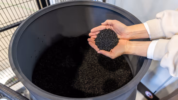 Zwarte korrels op een hand boven een emmer.
