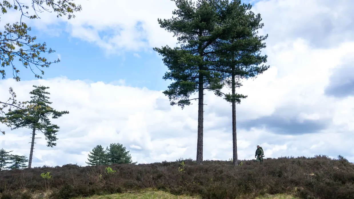Links: een persoon loopt over een heuvel met heide en dennenbomen onder een bewolkte hemel met blauwe plekken.    Rechts: Een persoon in camouflage loopt met stokken door een bos met heide, bomen en groen gras onder een bewolkte lucht. 