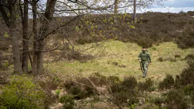 Een persoon in camouflage loopt met stokken door een bos met heide, bomen en groen gras onder een bewolkte lucht. 