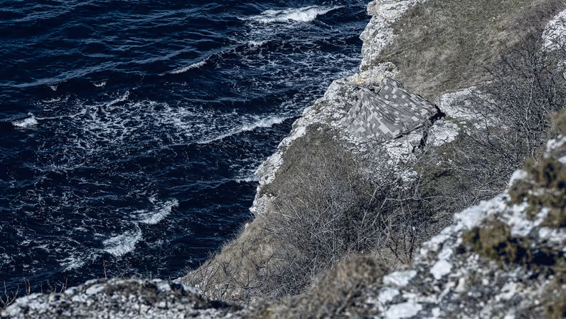 Enkele militairen verstopt op een berg aan zee onder een camouflagedeken.