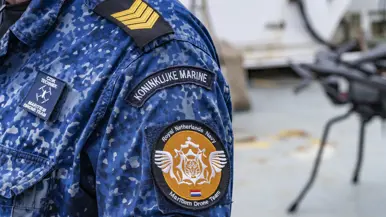 Emblemen van eenheden op de bovenarmen van 2 militairen.