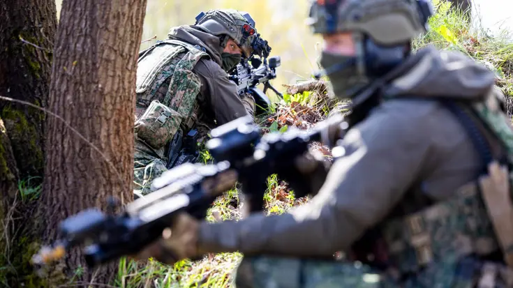 Twee bewapende militairen liggen in de bossen.