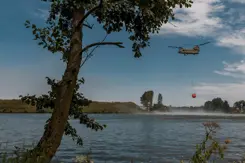 Een Chinook met Bambi Bucket vliegt boven de Maas. Op de voorgrond een boom.