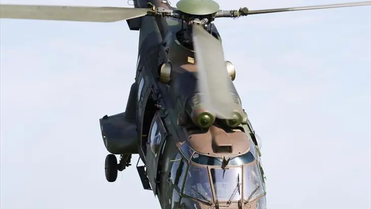 Cougar in duikvlucht