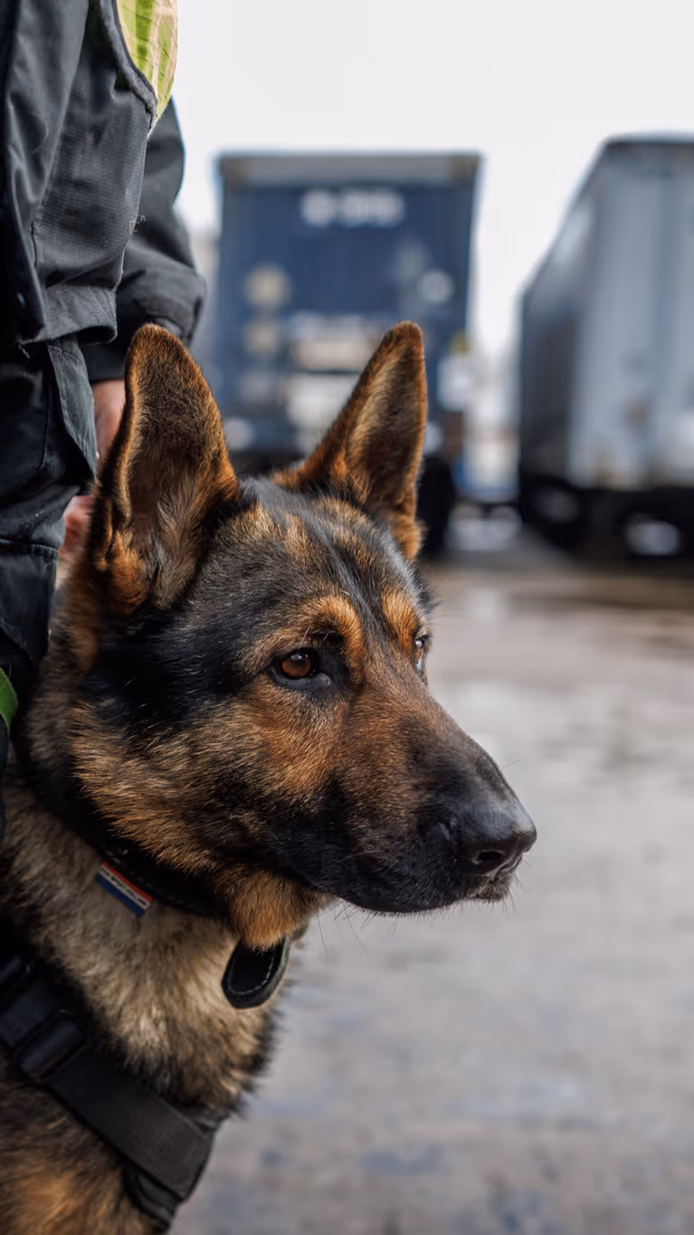 COVER 20260217SMH0075