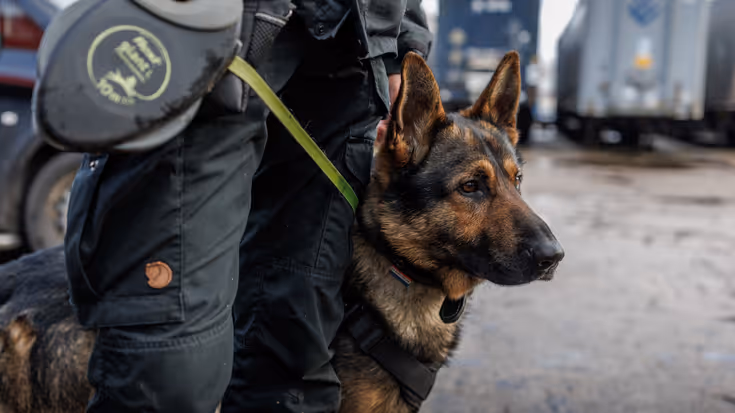 COVER 20260217SMH0075