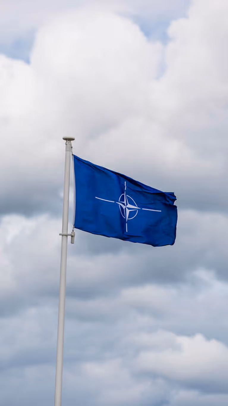 De vlaggen van Litouwen, de NAVO en Nederland.&nbsp;