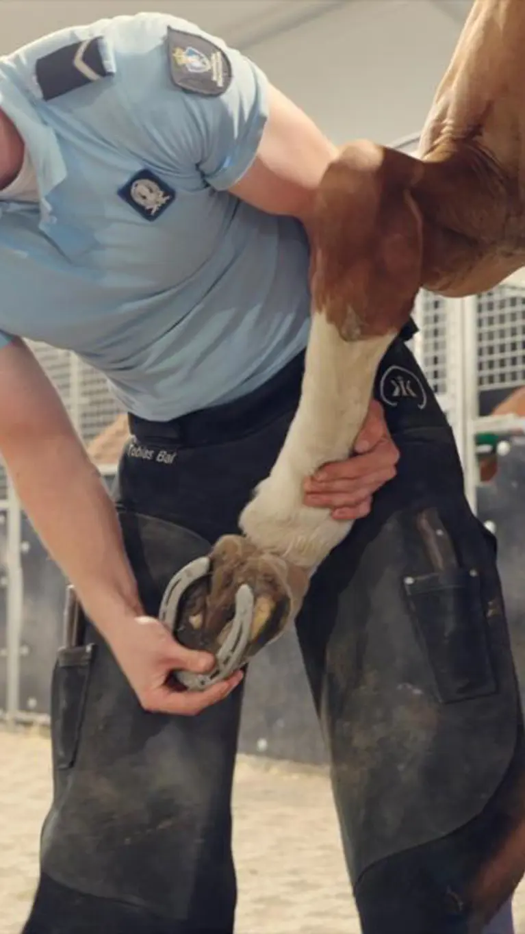 Een marechaussee in blauw shirt houdt de poot van een paard vast en kijkt naar de hoeven.