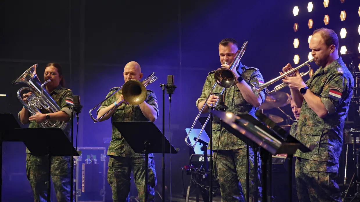 De feestband The green hornets.