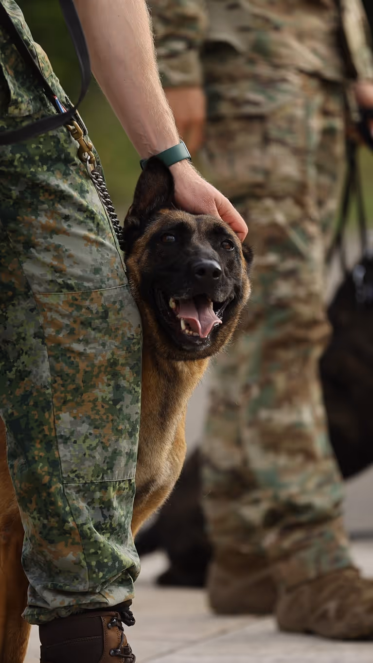 Een hond staat naast een militair.