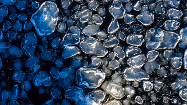 Afbeeldingen van het pannenkoekijs waar het schip doorheen vaart. Dit zijn kleine ijscirkels die in de zee liggen. Ook een foto van het schip dat in Botnische Golf dobbert.