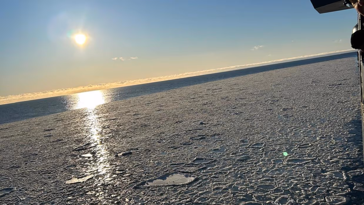 Afbeeldingen van het pannenkoekijs waar het schip doorheen vaart. Dit zijn kleine ijscirkels die in de zee liggen. Ook een foto van het schip dat in Botnische Golf dobbert.