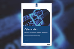 Screenshot van een rapport.