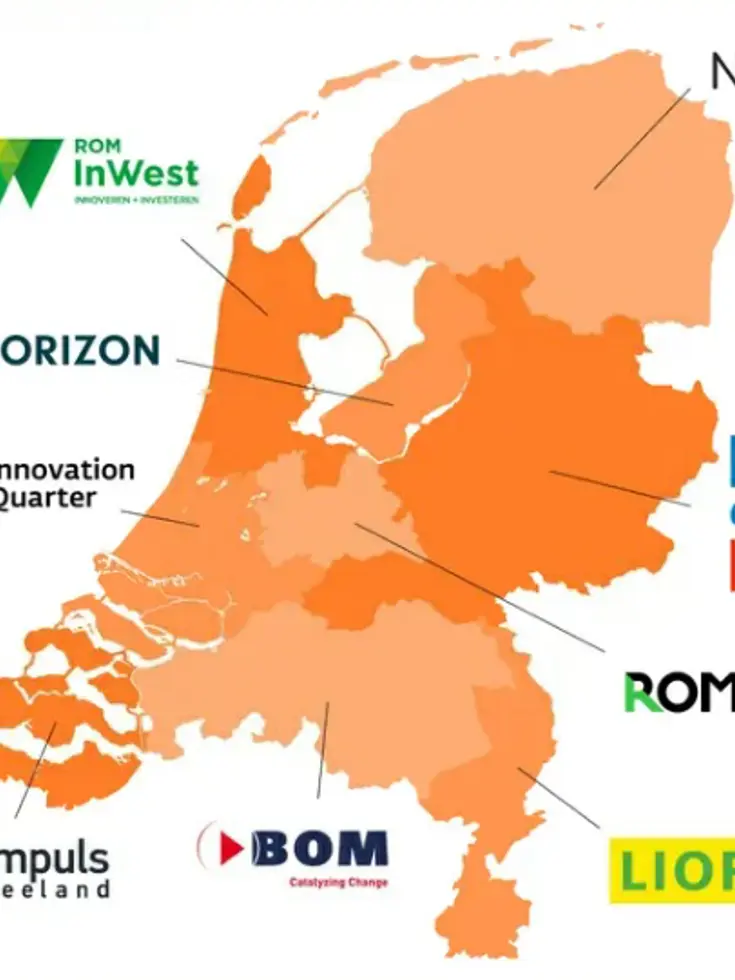 Regionale Ontwikkelingsmaatschappijen (ROM's)