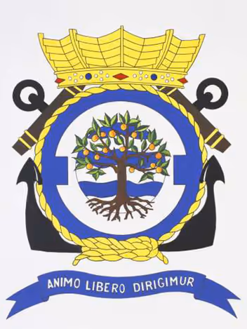 Embleem Vliegtuigsquadron 320