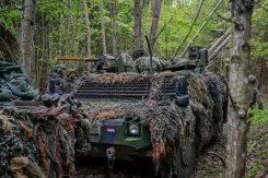 Militair voertuig voorzien van camouflage tussen de bomen.